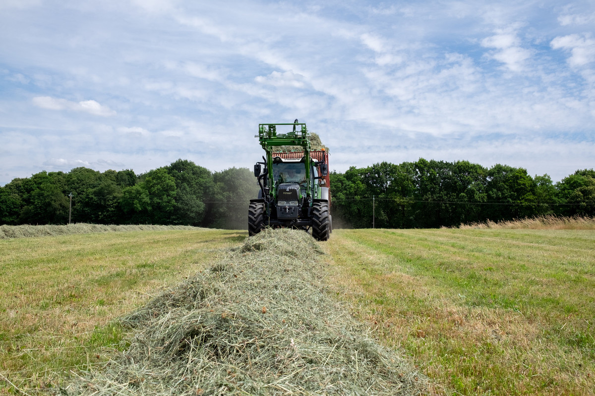Image bandeau supérieur